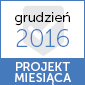 Projekt miesiąca "styczeń 2016"